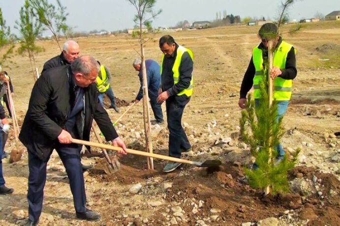<p>“Heydər Əliyev İli” çərçivəsində növbəti ağacəkmə aksiyası keçirilib (FOTO=9)</p>