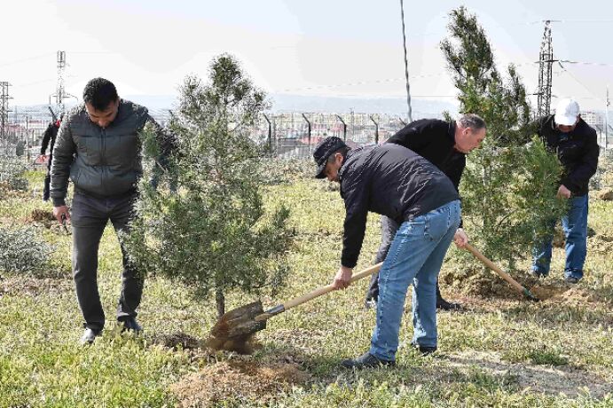 <p>Ümummilli lider Heydər Əliyevin 100 illik yubileyi münasibətilə növbəti ağacəkmə aksiyası keçirilib</p>