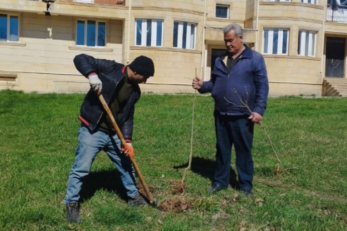 <p>Rəsədxanada Heydər Əliyevin 100 illiyinə həsr olunmuş ağacəkmə aksiyası keçirilib (FOTO=6)</p>
