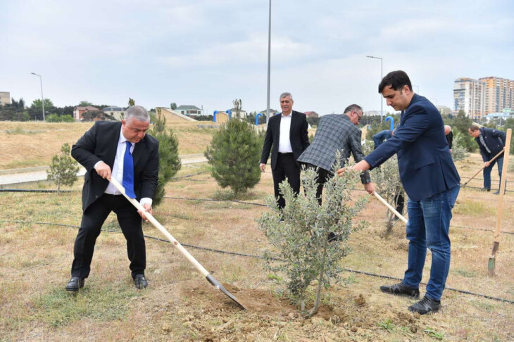 <p>“Azərsu” ASC-nin Tədbirlər Planına uyğun olaraq ağacəkmə aksiyası keçirilib. </p>