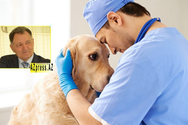 <p>Hümbət Quliyev: Veterinariya haqqında (esse)</p>