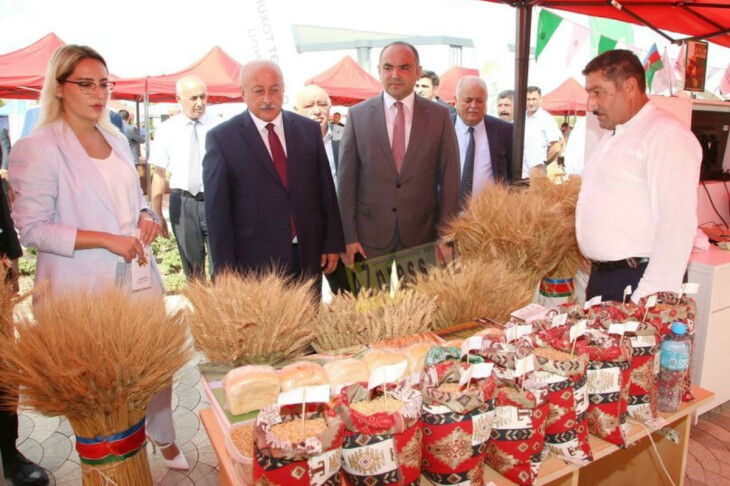 <p>Ağcabədi rayonunda Aqrar İnnovasiya Festivalı keçirilib (FOTO=82)<br />
 </p>