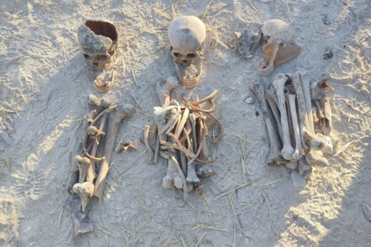 <p>Qubadlı və Zəngilanda insan qalıqları ekshumasiya edildi</p>