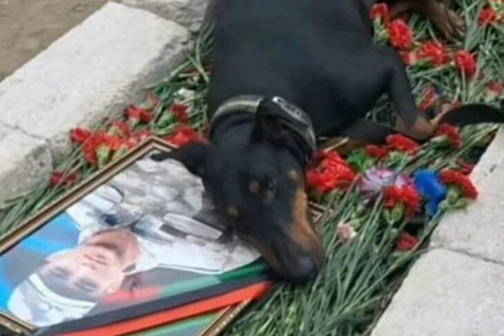 <p>Elşad Barat: İnsanlarda görmək istədiyimiz vəfa...</p>